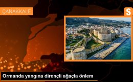 İklime Dirençli Ormancılık Projesi ile Orman Yangınlarına Önlem