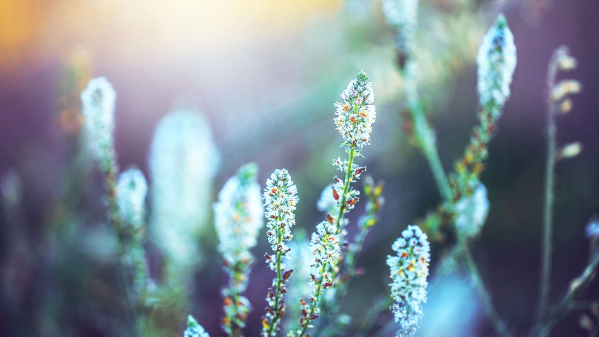 Zihinsel detoks yapmanın 5 yolu
