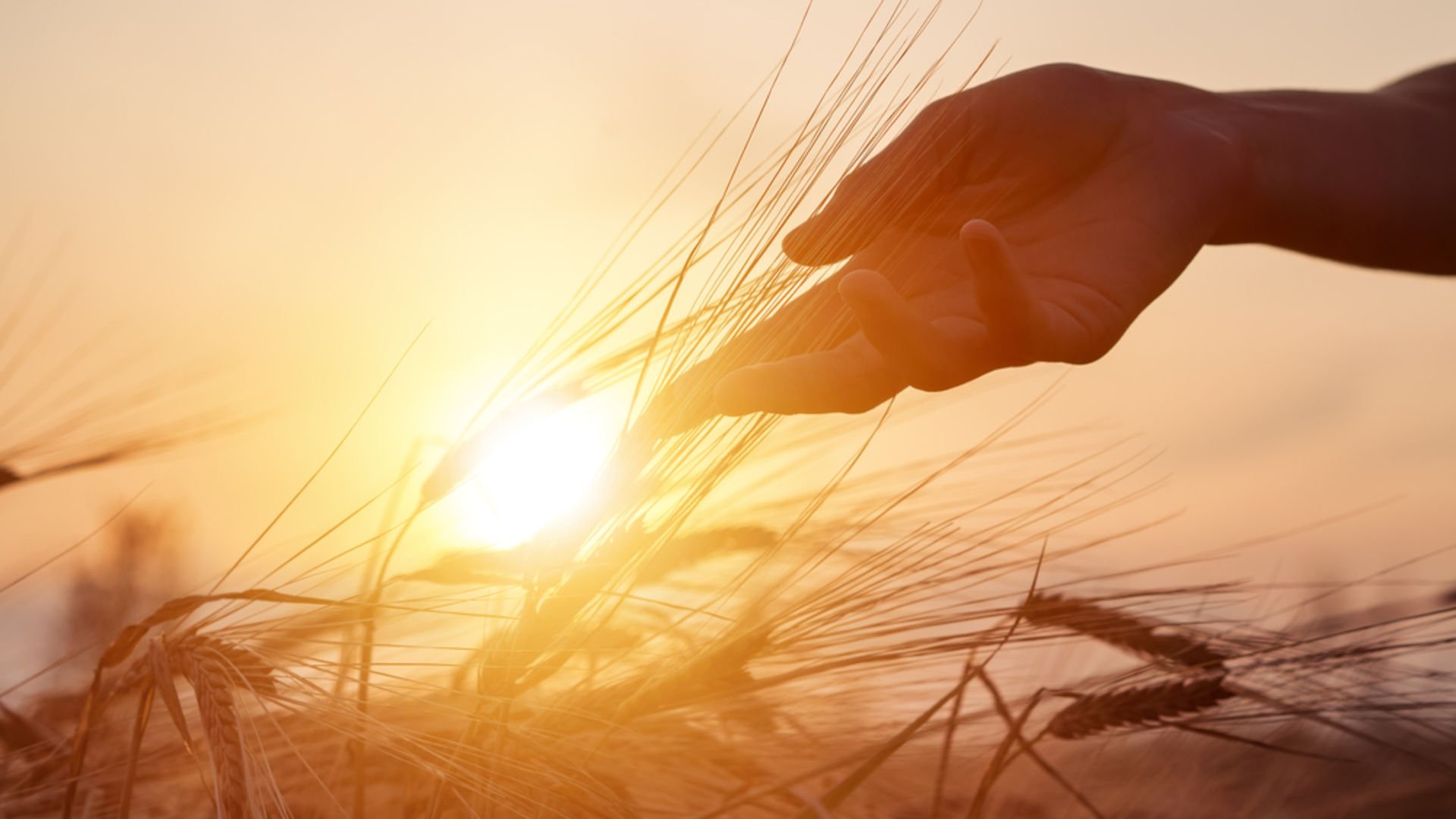 Dirençli olmanızı sağlayacak 9 temel beceri