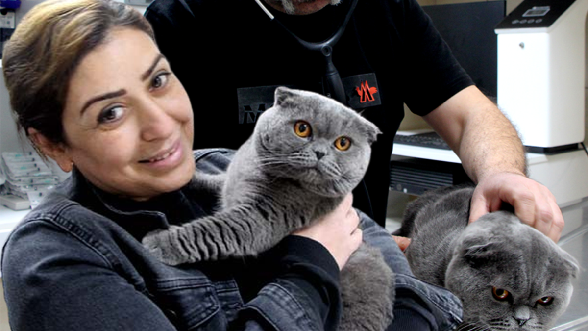 Veteriner şoke oldu: 6 milyonda 1 görülüyor!