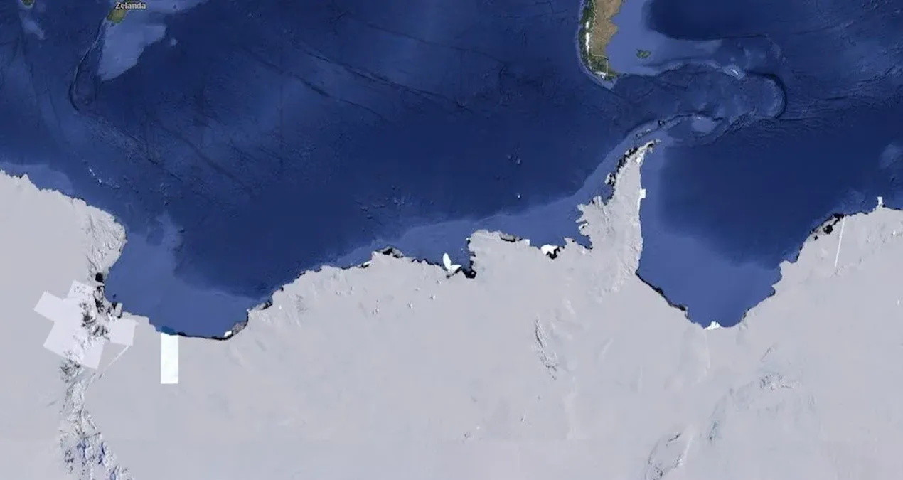 Girilmeyen bölgeye girdiler, devasa canlılar buldular! Yüzyıllardır burada yaşıyorlarmış