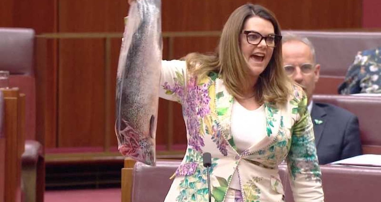 Pazarda satar gibi kürsüye çıkardı: Parlamentoya somonu koydu